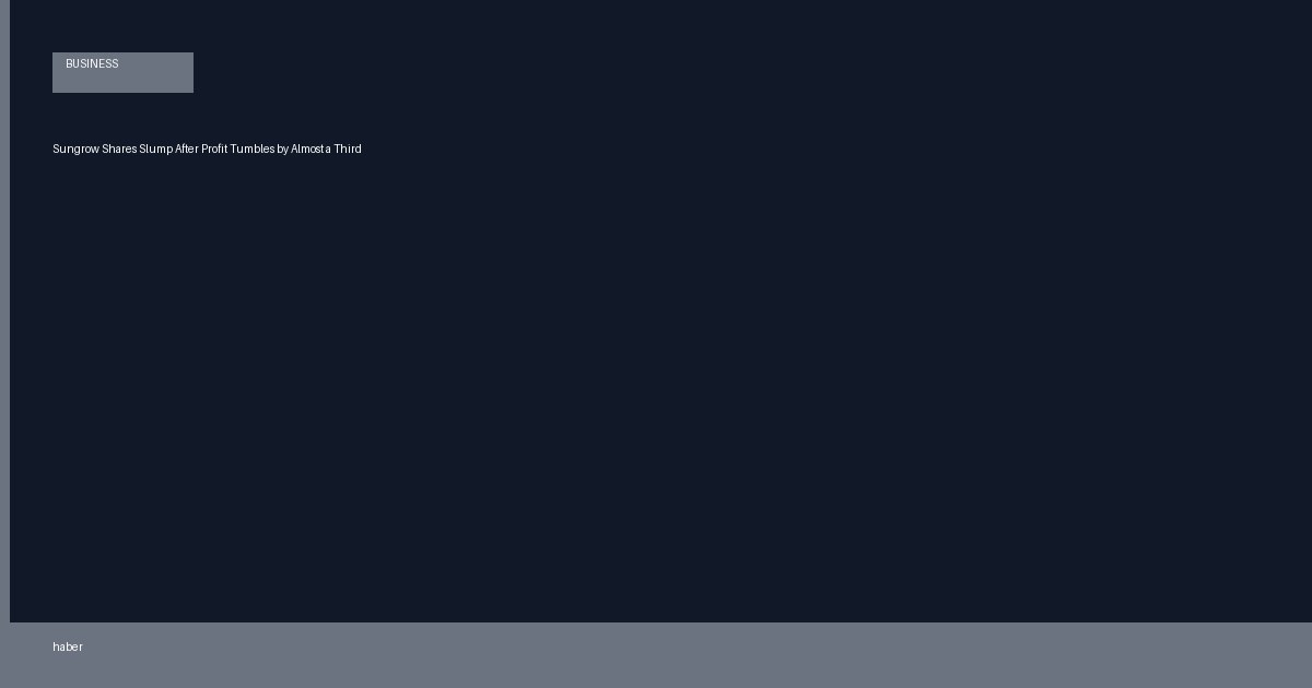 Sungrow Shares Slump After Profit Tumbles by Almost a Third